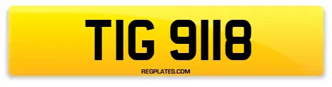 TIG 9118