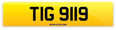 TIG 9119