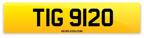 TIG 9120