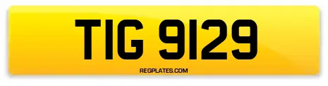 TIG 9129