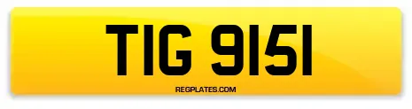 TIG 9151