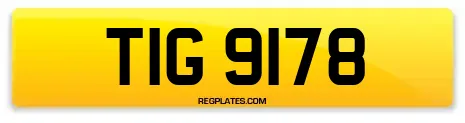 TIG 9178