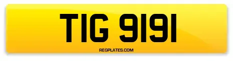 TIG 9191