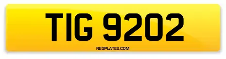 TIG 9202