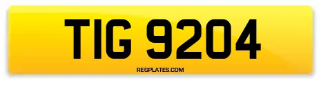 TIG 9204