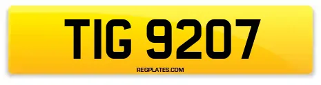 TIG 9207