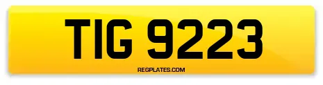 TIG 9223