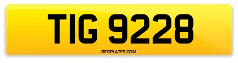 TIG 9228