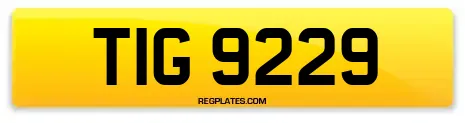 TIG 9229