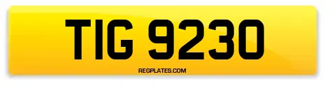 TIG 9230