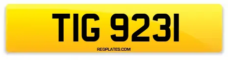 TIG 9231