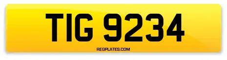 TIG 9234
