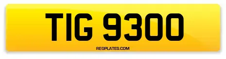 TIG 9300