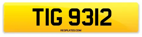TIG 9312