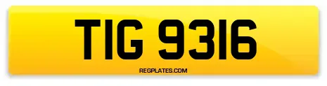 TIG 9316