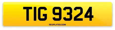 TIG 9324