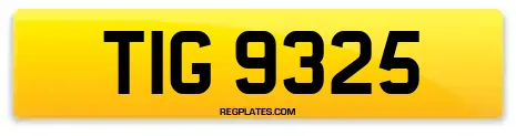 TIG 9325