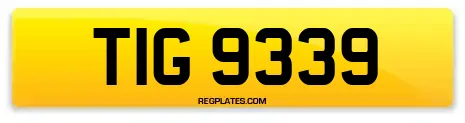 TIG 9339