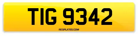 TIG 9342