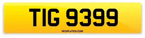 TIG 9399
