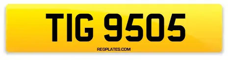 TIG 9505