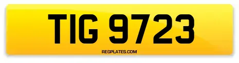 TIG 9723