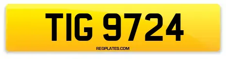 TIG 9724