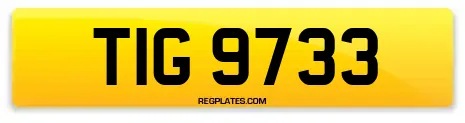 TIG 9733