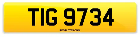 TIG 9734
