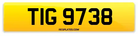 TIG 9738