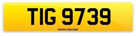 TIG 9739