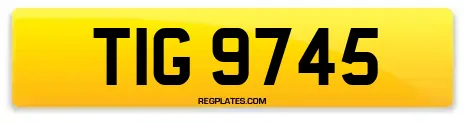 TIG 9745