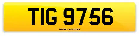 TIG 9756