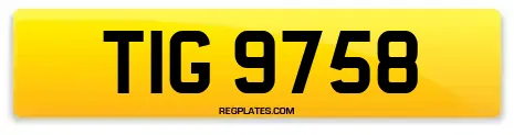 TIG 9758