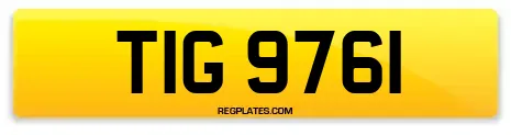 TIG 9761