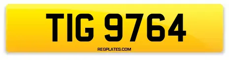 TIG 9764