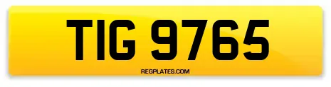 TIG 9765