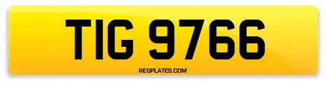 TIG 9766