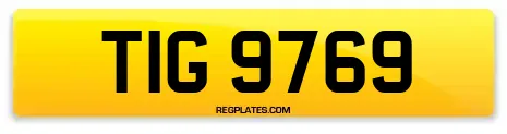 TIG 9769
