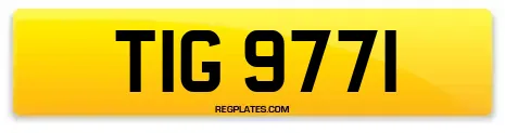 TIG 9771