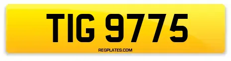 TIG 9775