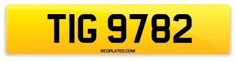 TIG 9782