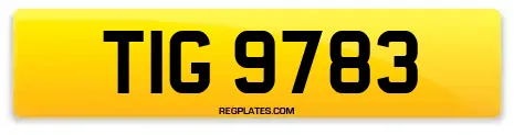 TIG 9783