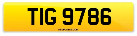 TIG 9786