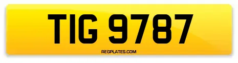 TIG 9787