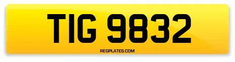TIG 9832