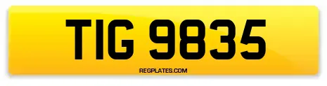TIG 9835