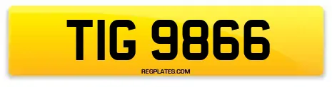 TIG 9866
