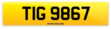 TIG 9867