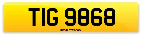 TIG 9868
